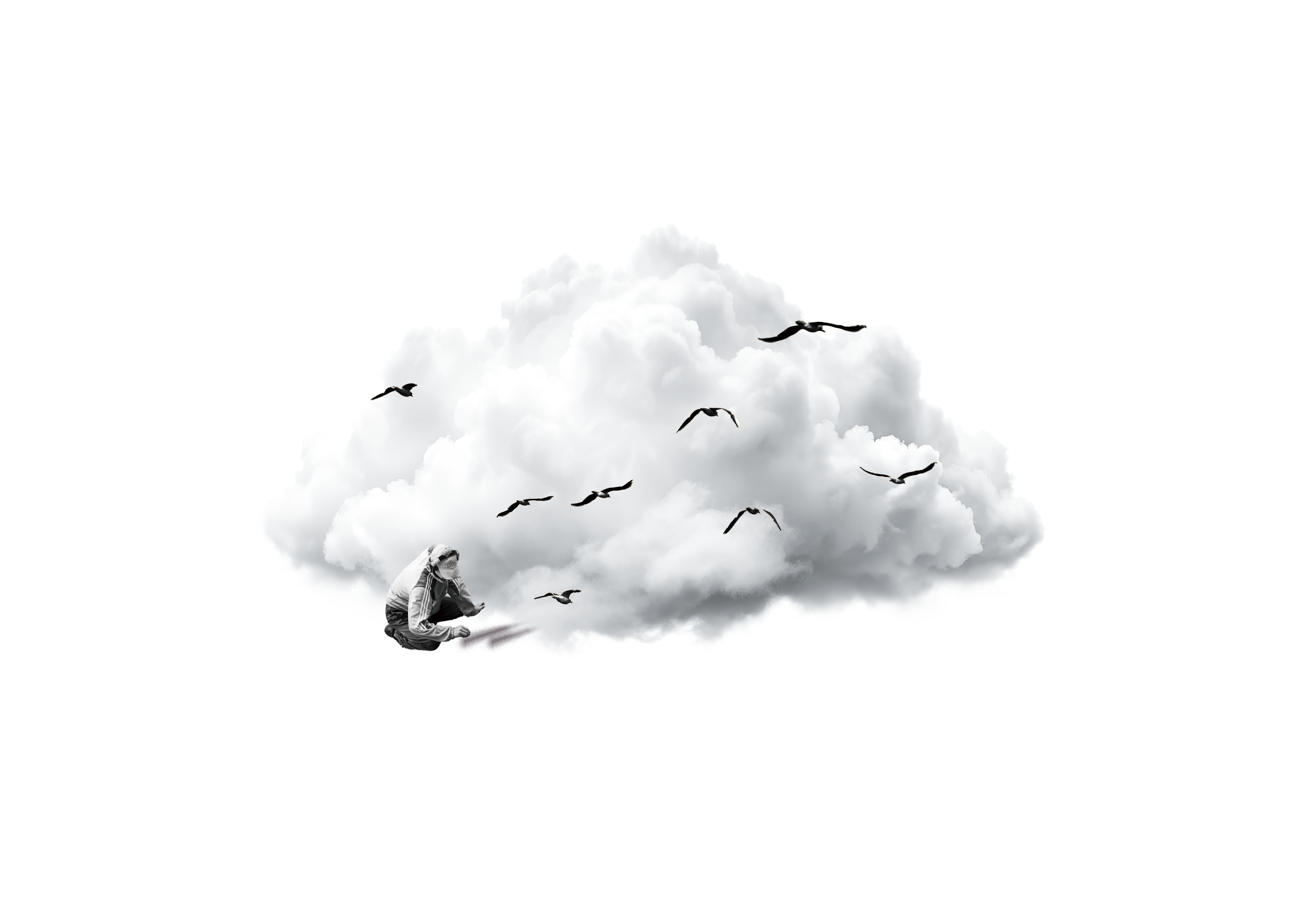 イラストと画像